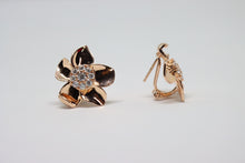  Rose Gold Plated Silver Earrings with zircons