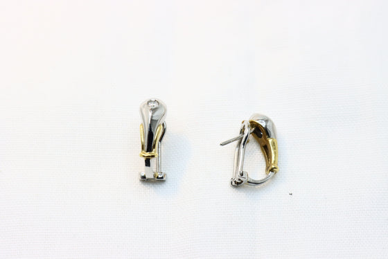 Platinum and Gold Earrings with diamonds