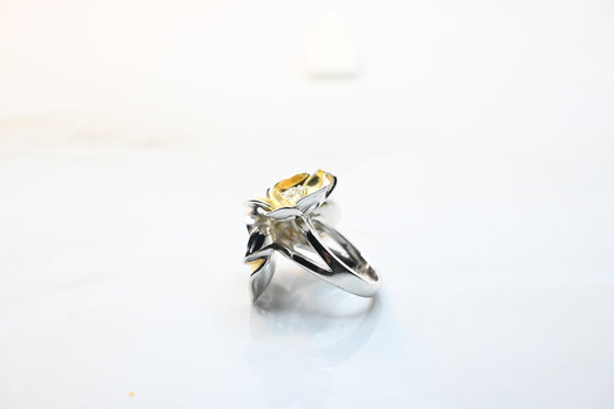 Silver Gold Plated Ring