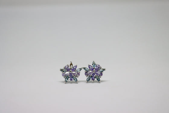 Silver Earring with amethyst